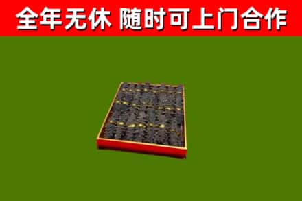 扬中回收海参